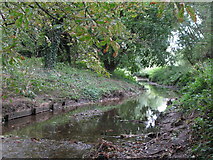 TQ3870 : The River Ravensbourne west of Calmont Road, BR1 (10) by Mike Quinn
