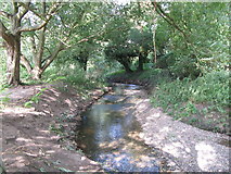 TQ3870 : The River Ravensbourne west of Calmont Road, BR1 (14) by Mike Quinn