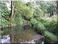 The River Ravensbourne west of Calmont Road, BR1 (15)