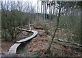 Cycle trail, Cannock Chase Forest