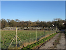 TQ3921 : Poultry Shed, Grassington Farm by Simon Carey