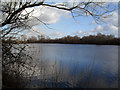 Old Gravel Pit, Queenford Farm