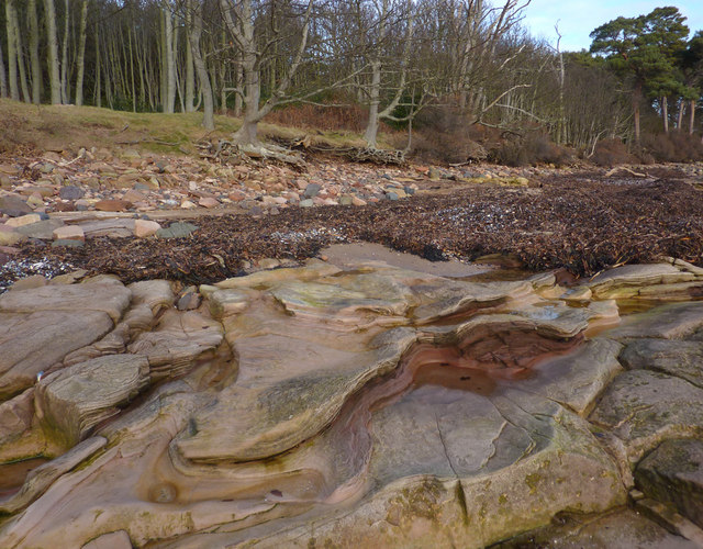 Rocky shore by Links Wood
