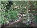 The River Ravensbourne south of Brangbourne Road, BR1 (4)