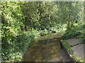 The River Ravensbourne south of Brangbourne Road, BR1 (6)