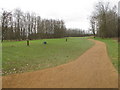 The 7th tee at Chobham