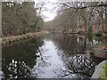 Water in the canal