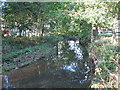 The River Ravensbourne south of Bromley Road, SE6 (2)