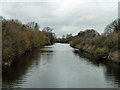 River Lea at A106 bridge