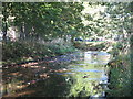 The River Ravensbourne south of Bromley Road, SE6 (4)