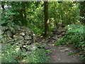 Dry stone wall and path in Cademan Wood