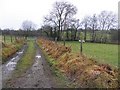 Muddy lane, Garvagh