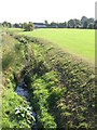 The River Ravensbourne - Downham Branch, south of Rangefield Road, BR1