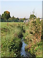 The River Ravensbourne - Downham Branch, south of Rangefield Road, BR1 (3)