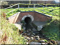 The River Ravensbourne - Downham Branch, culvert under Valeswood Road, BR1