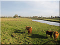 River Great Ouse/Old West River