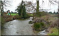 Pond at Moors Farm