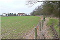 Bridleway to Moors Farm