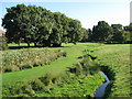 The River Ravensbourne - Downham Branch, Shaftesbury Park (7)