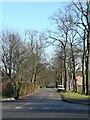 Driveway to The Park.Eccleshill