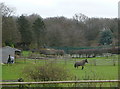 Paddocks near Ley Hill