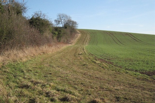 Undulating field east of Ash Lane, Bearley