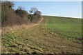 SP1760 : Undulating field east of Ash Lane, Bearley by Robin Stott