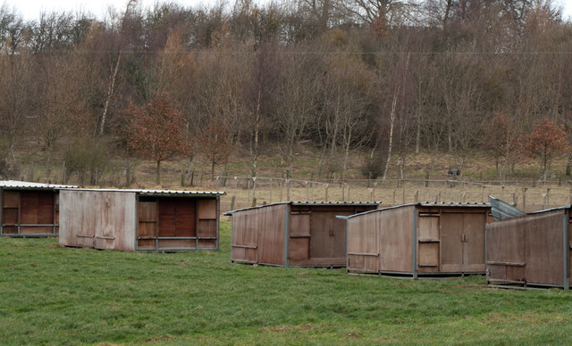 Animal housing near Mowden Hall