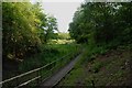 Wooden Walkway