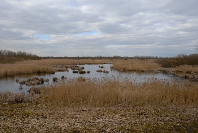 Woolston Eyes Nature Reserve © Galatas cc-by-sa/2.0 :: Geograph Britain ...