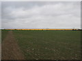 Footpath to Seamark Road and Thanet Earth