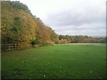 TQ4471 : Autumn colours near Belmont Lane, Chislehurst by Marathon