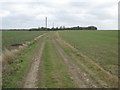 Footpath to Minster Road