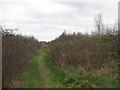 Footpath around Manston Park