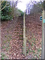TM3865 : Footpath Steps from the A12 Saxmundham Bypass by Geographer