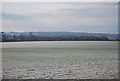 Farmland south of the Pilgrims