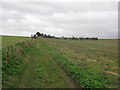 Bridleway to Manston Road