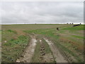 Bridleway junction near Hengrove Farm