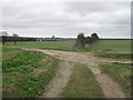 Track junction near Hengrove Farm