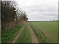 Bridleway to Shottendane Road