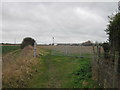 Footpath junction near Coldswood Farm