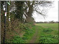 Footpath to Manston Road