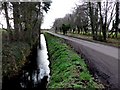 Rhyne and Road , Westhay Moor