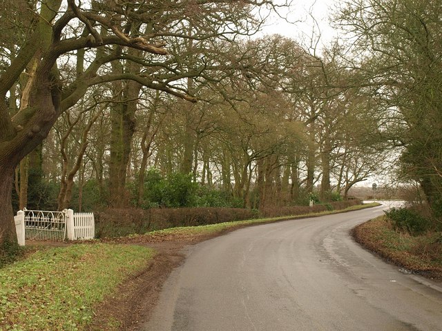 Lower End Road
