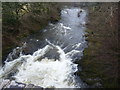 The Afon Tywi from Pont Dolauhirion