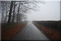 Stockhall Lane in mist