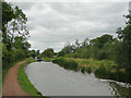 SO9868 : Worcester and Birmingham Canal at Tardebigge Locks by Roger  D Kidd