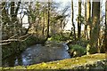 The view downstream on Knowl Water from a bridge at Heanton Mill