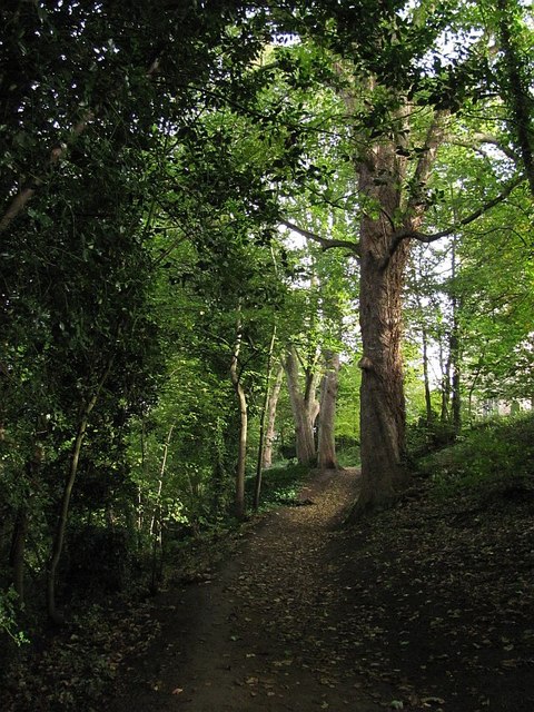 Riverside path, Durham