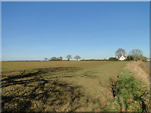 TM3061 : Field lying fallow, near Mill Green Farm by Adrian S Pye